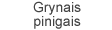 Grynais - Maxima, Perlo terminalai, Lietuvos spauda, Narvesen, Paypost, Lietuvos paštas